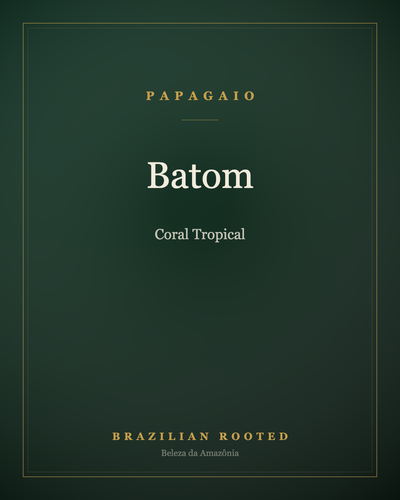 Papagaio